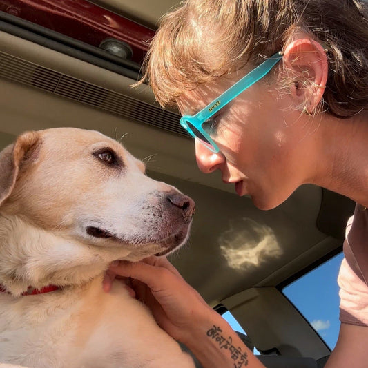 Maggie’s Second Chance